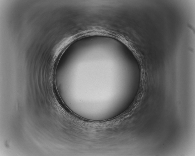 X0000100370007200806201638