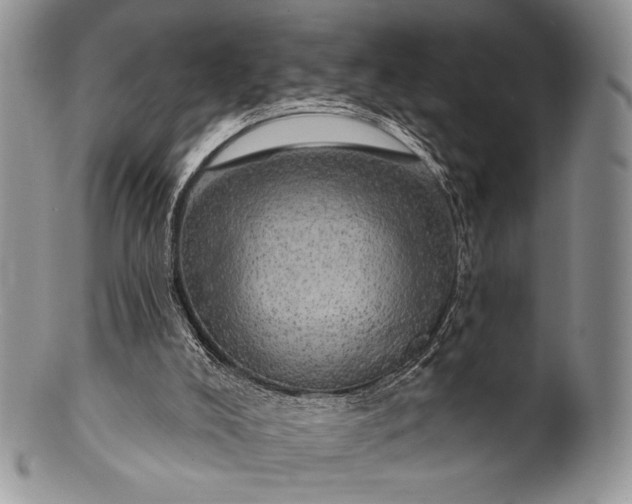 X0000100370008200806201638