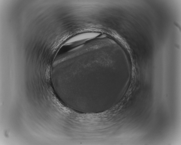 X0000100370009200806201638