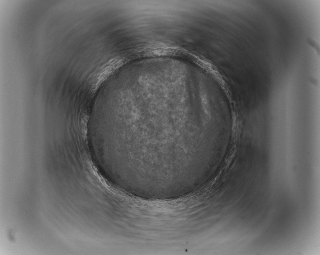 X0000100370010200806201638