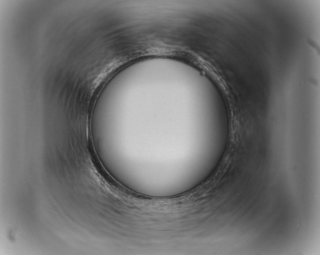 X0000100370011200806201638