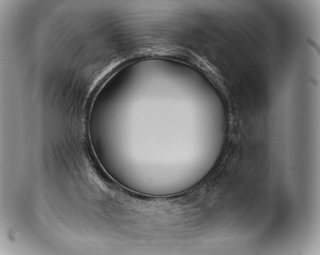 X0000100370012200806201638