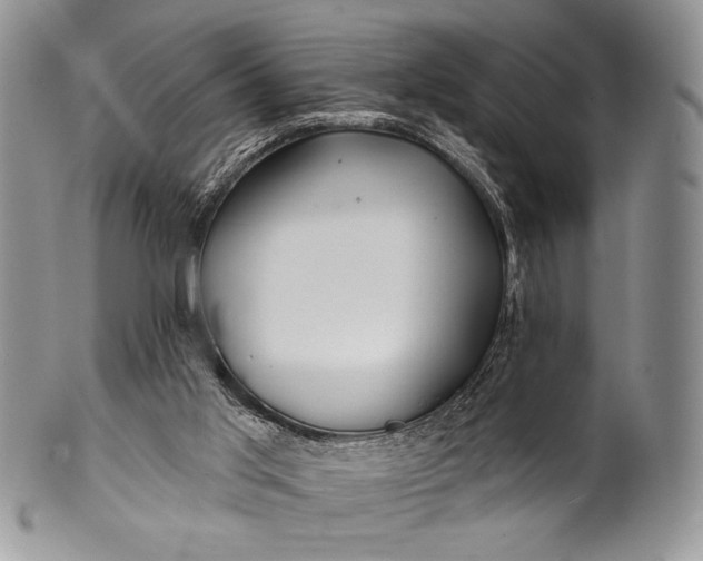 X0000100370013200806201638