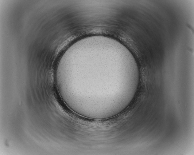 X0000100370016200806201638