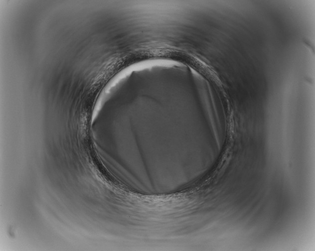 X0000100370018200806201638