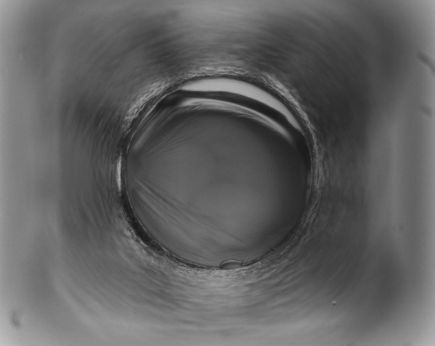 X0000100370019200806201638