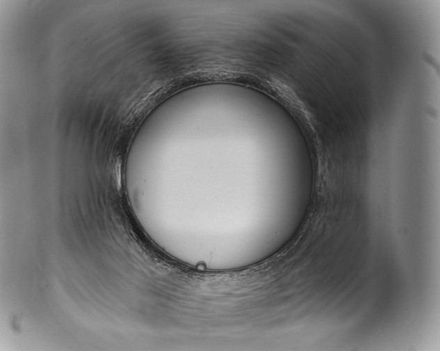 X0000100370021200806201638