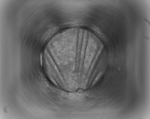 X0000100370022200806201638