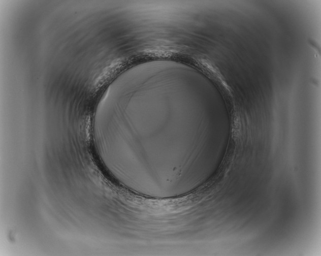 X0000100370023200806201638