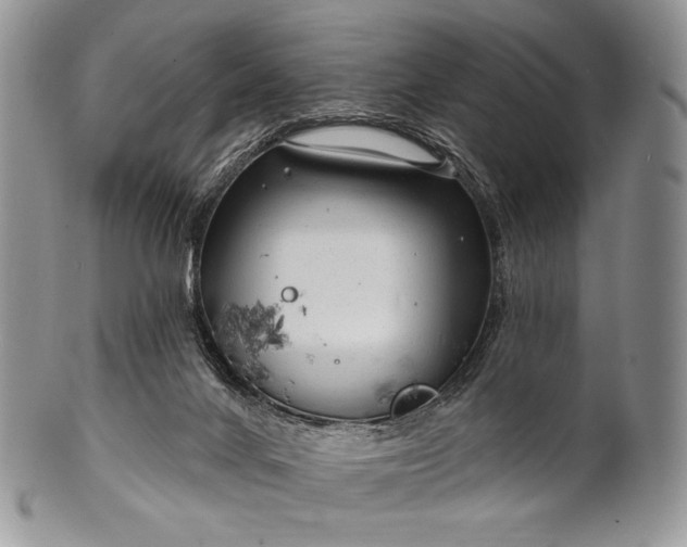 X0000100370024200806201638