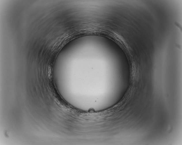 X0000100370025200806201638