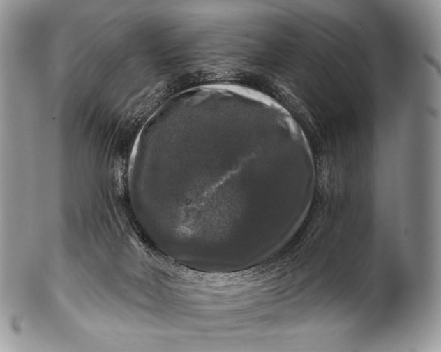 X0000100370026200806201638