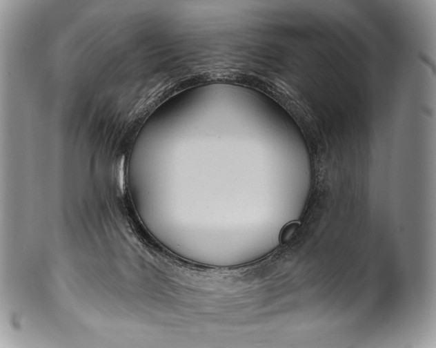 X0000100370028200806201638