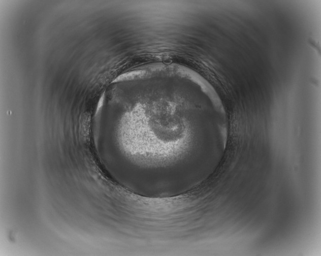 X0000100370030200806201638