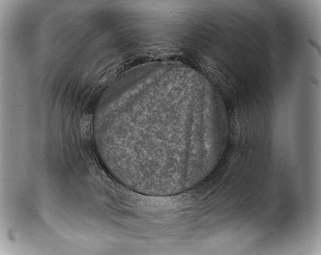 X0000100370034200806201638