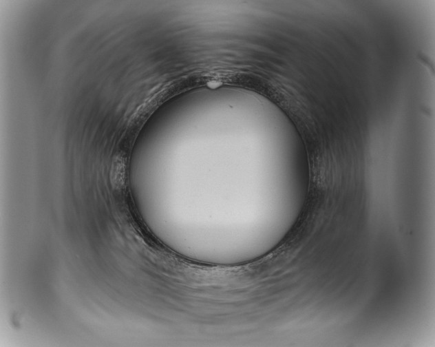 X0000100370036200806201638