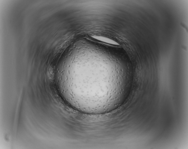 X0000100370037200806201638