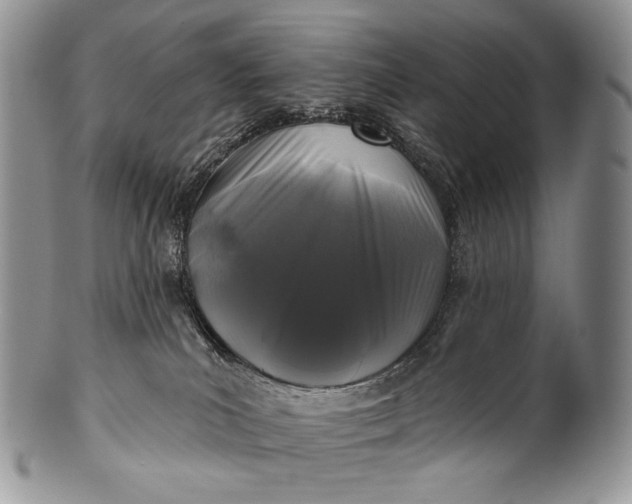 X0000100370039200806201638