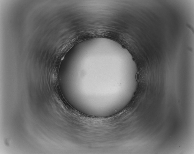 X0000100370040200806201638