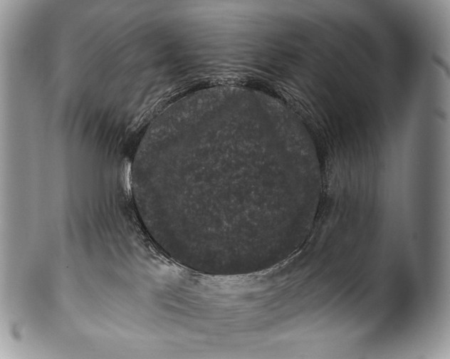 X0000100370041200806201638