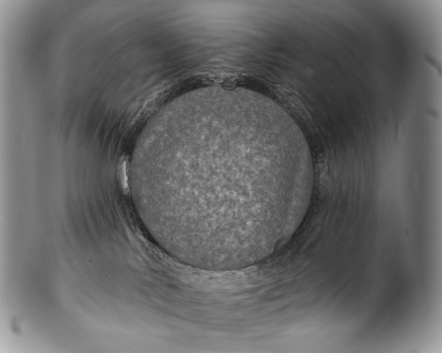 X0000100370042200806201638