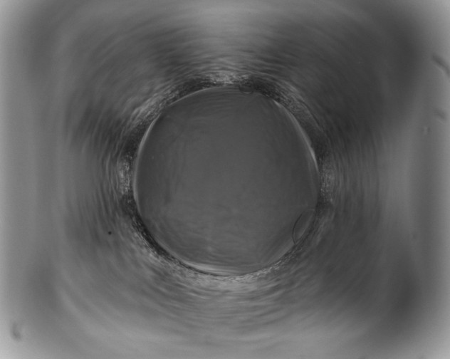 X0000100370043200806201638