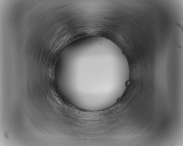 X0000100370044200806201638