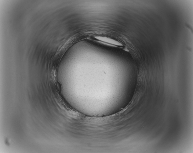 X0000100370045200806201638