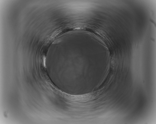 X0000100370046200806201638