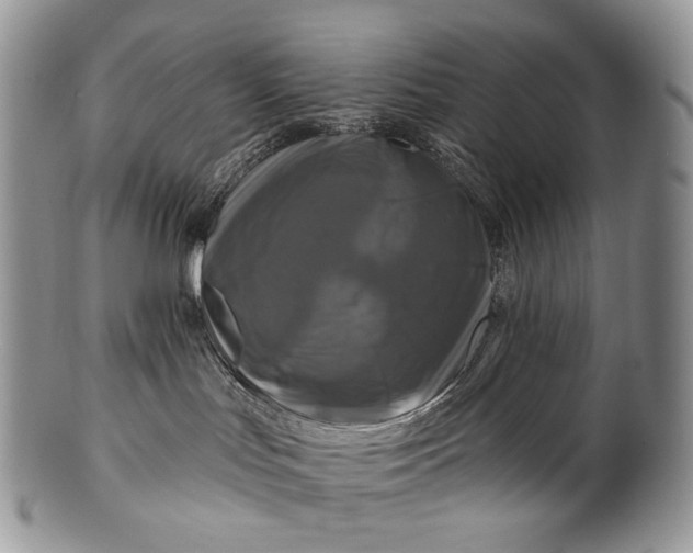 X0000100370047200806201638