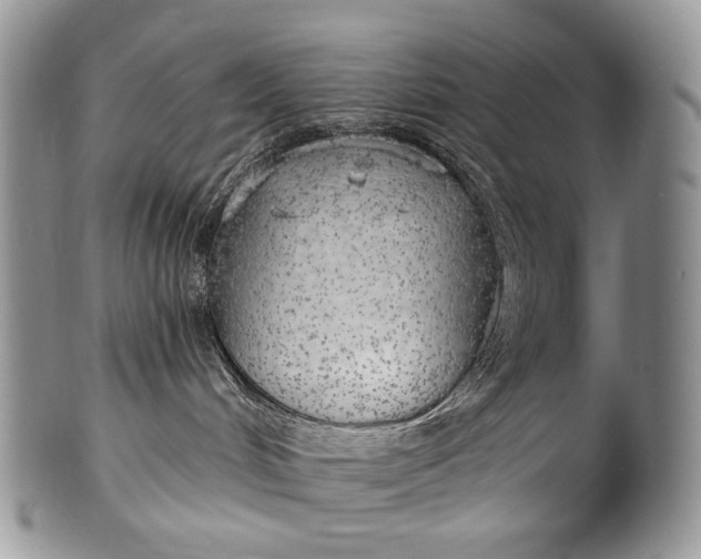 X0000100370048200806201638