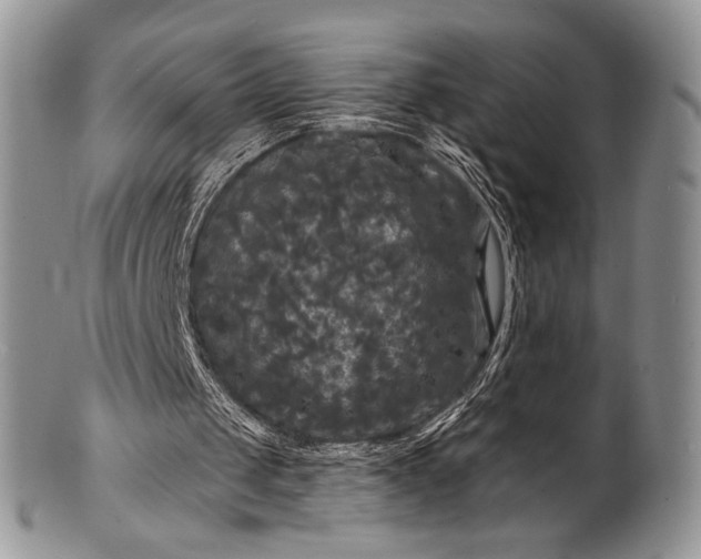 X0000100370049200806201637