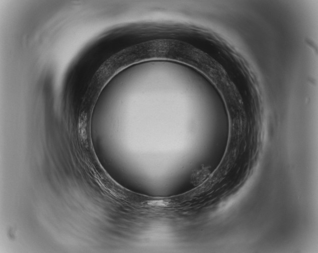 X0000100370050200806201637