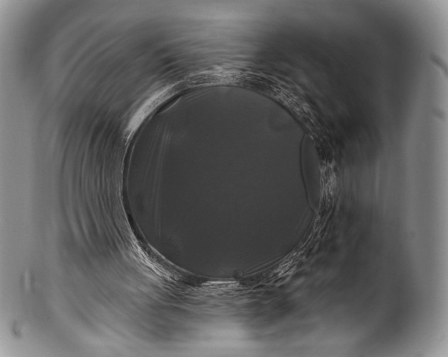 X0000100370051200806201637