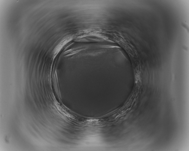 X0000100370052200806201637