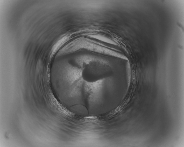 X0000100370053200806201637