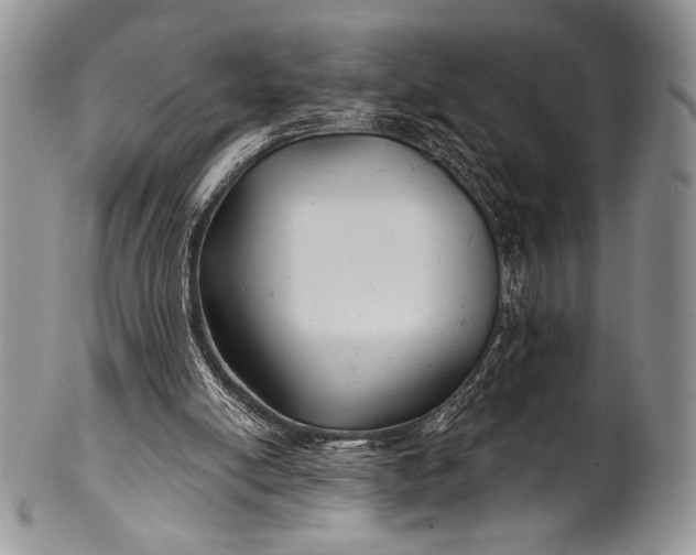 X0000100370054200806201637