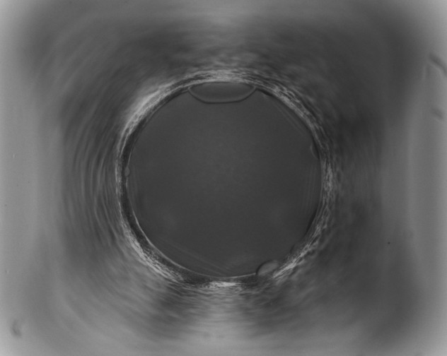 X0000100370055200806201637