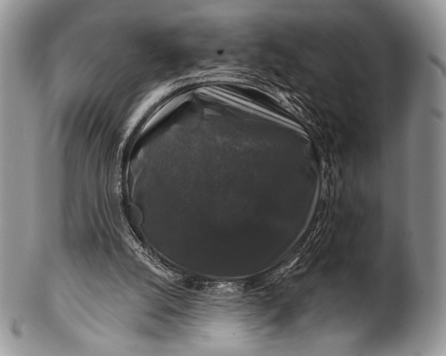 X0000100370056200806201637