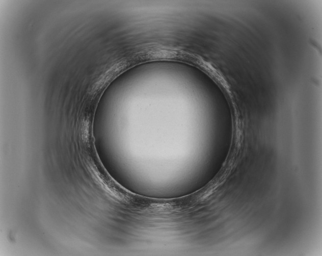 X0000100370057200806201637