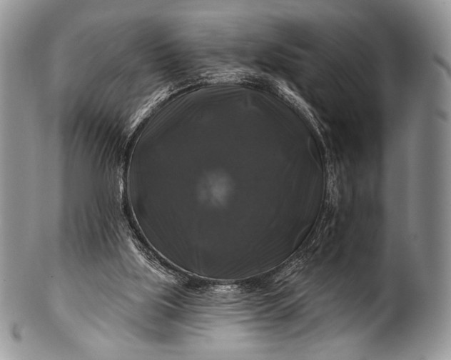 X0000100370059200806201637