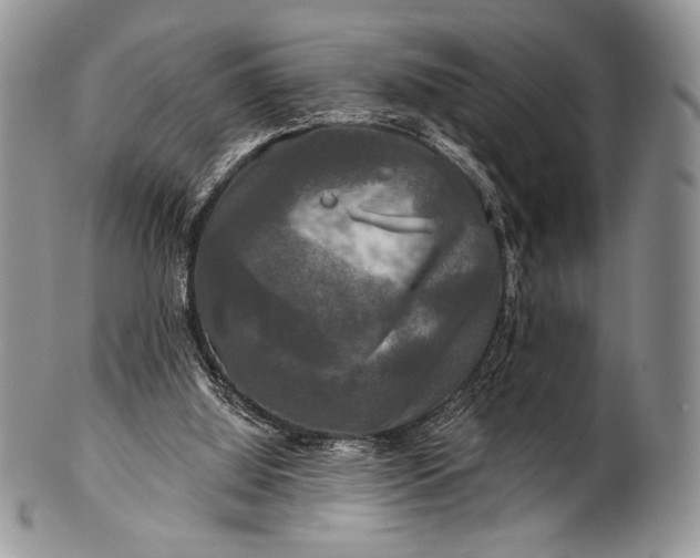 X0000100370060200806201637