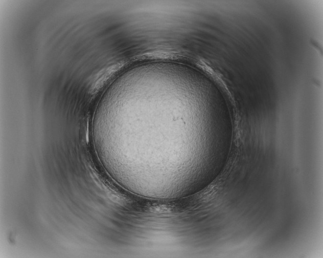 X0000100370062200806201637