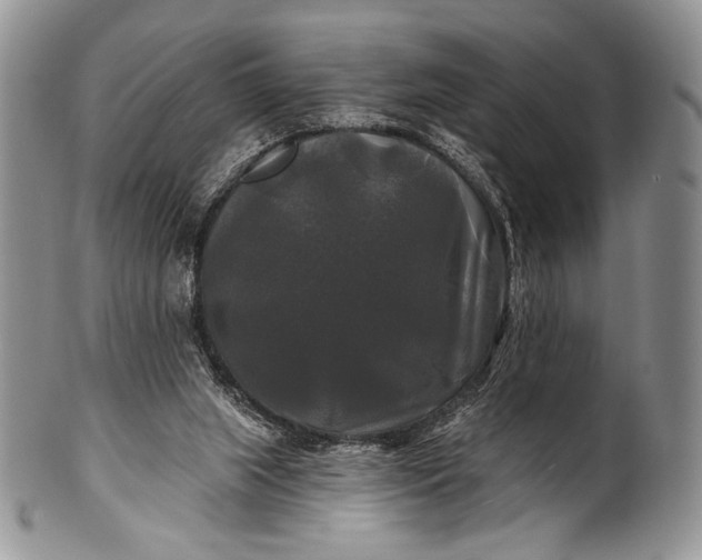 X0000100370063200806201637