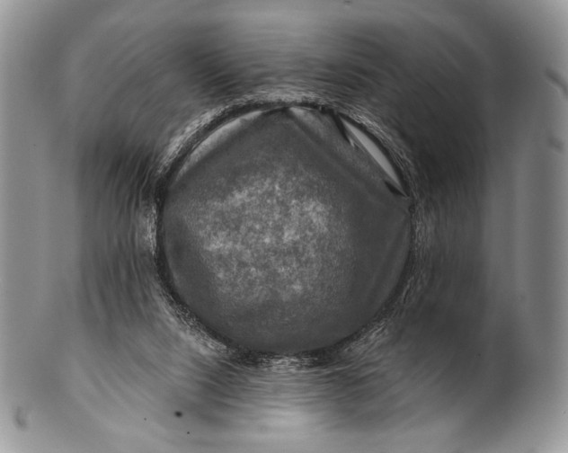 X0000100370064200806201637