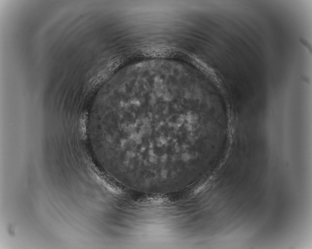 X0000100370065200806201637