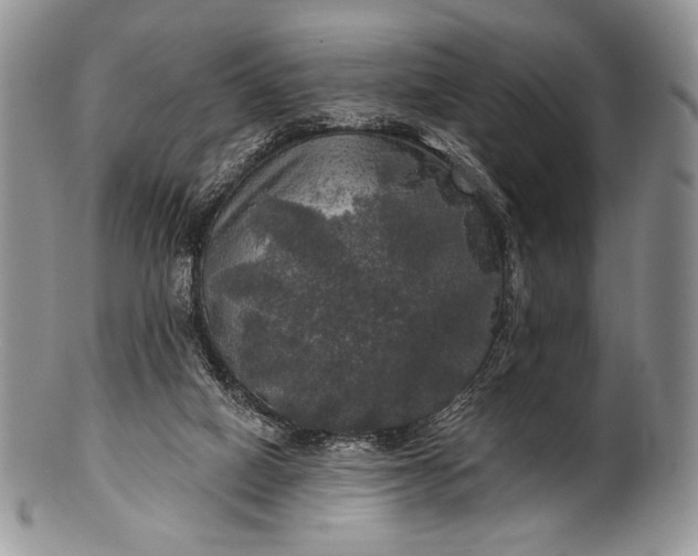 X0000100370066200806201637