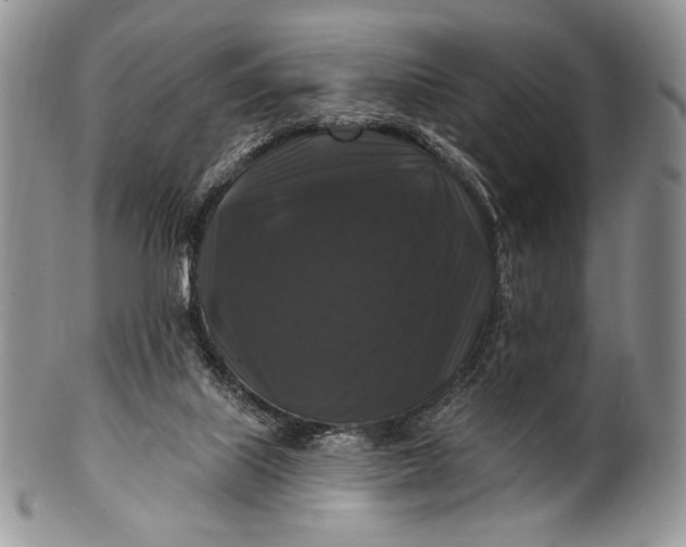 X0000100370067200806201637