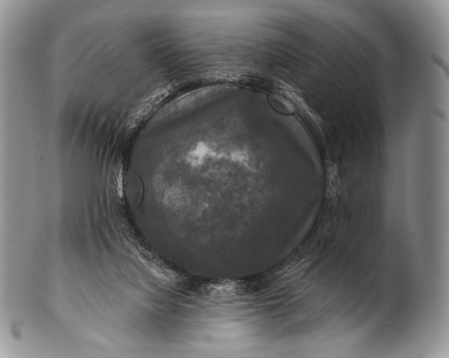 X0000100370068200806201637