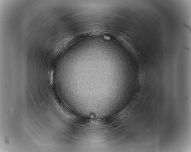 X0000100370070200806201637